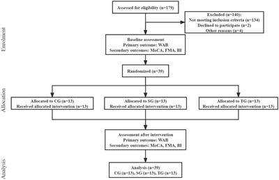 Clinical study of melodic intonation therapy combined with transcranial direct current stimulation for post-stroke aphasia: a single-blind, randomized controlled trial